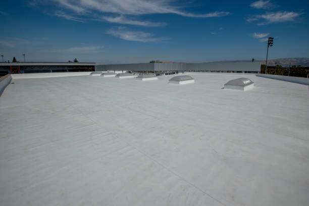 Best Roof Insulation Installation  in Chesnut Hill, PA
