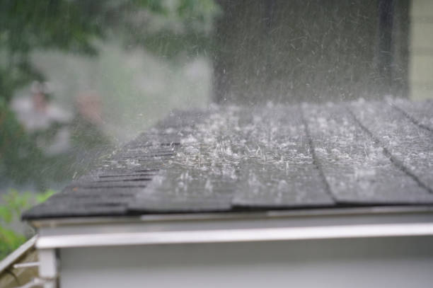 Best Solar Panel Roofing Installation  in Chesnut Hill, PA