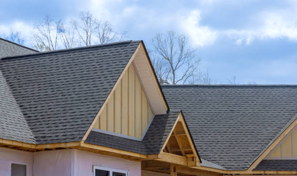Best Chimney Flashing Repair  in Chesnut Hill, PA