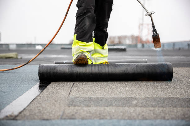 Best Gutter Installation and Repair  in Chesnut Hill, PA